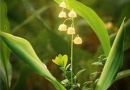 ��λ������һ� ��������һ���