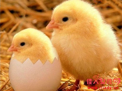 ��Ф����ʲô�����ܺ���