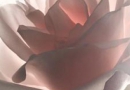 �̸�ְ��Ů�Ե����մ��