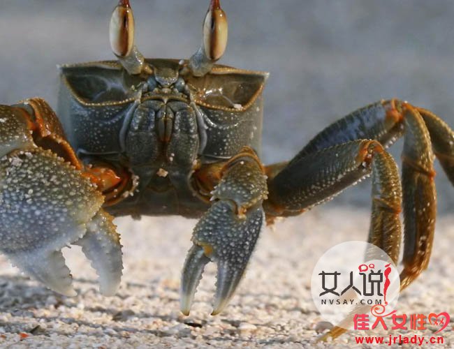 ���˱�зǯ������ ��ʱ���ڶ�������֢״�Ҳ��̶�