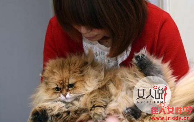2����Ů����è ��������������Ǯ�����ѿ���̫����
