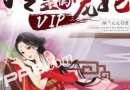 ��ʵ�vip����С˵�ı�����������ܿ�����ʵ�vip�����ı�������ʲô��