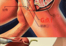 Ů��G����ָ��ʲô�ط�  Ů��G��λ��ʾ��ͼ