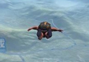 ��Ұ�ж���Ҫʲô���� ��Ұ�ж�����Ҫ��һ��