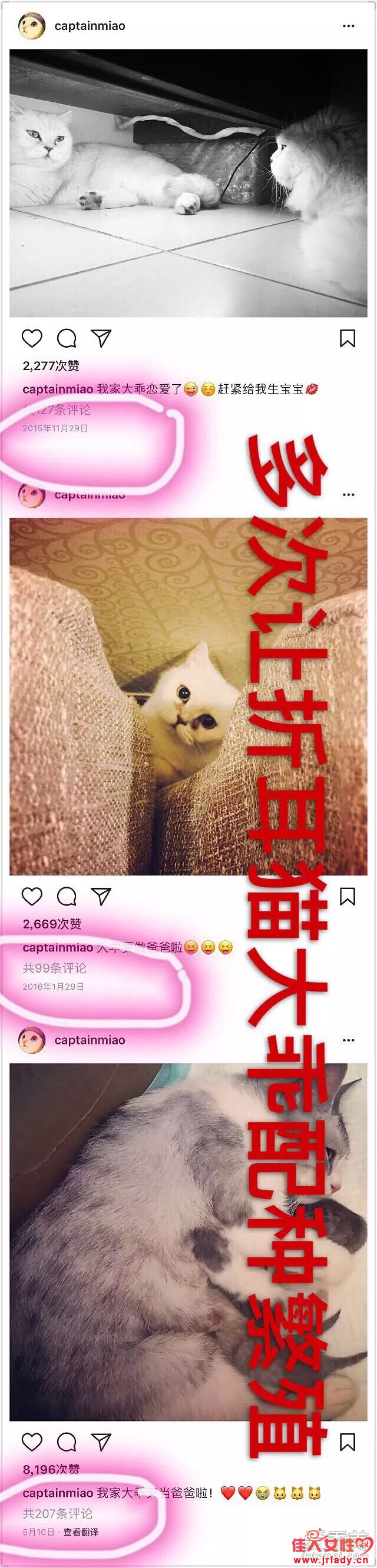 ���ݹ�������������ô���� ����Űè�������