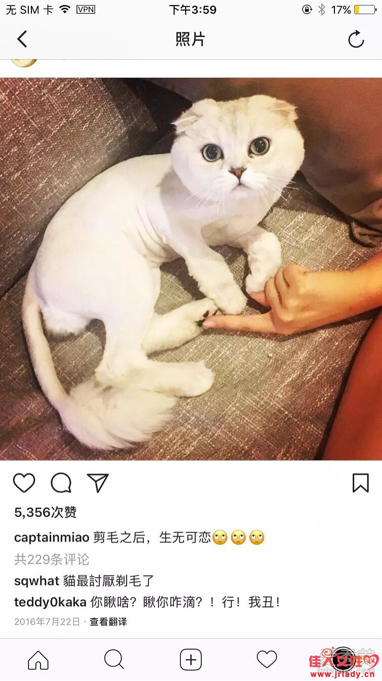 ���ݹ�������������ô���� ����Űè�������