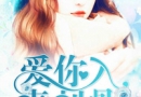 �����붾�̹��ĳ�������Ķ� �����붾�̹�С˵�½�Ŀ¼